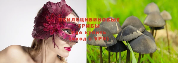 гашик Володарск