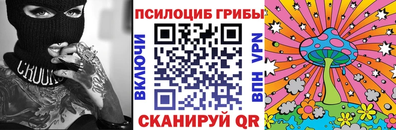 darknet наркотические препараты блэк спрут вход Дербент Галлюциногенные грибы Cubensis